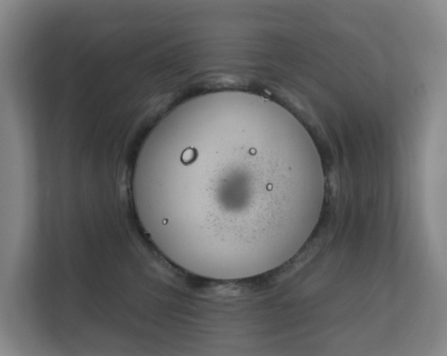 X0000112380423200908201526