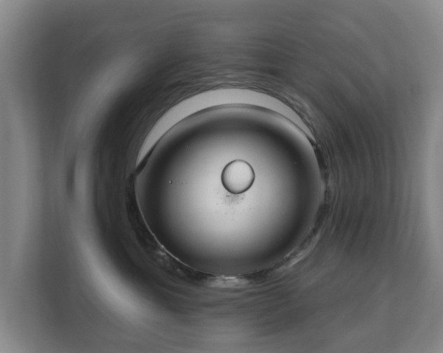 X0000112380429200908201526