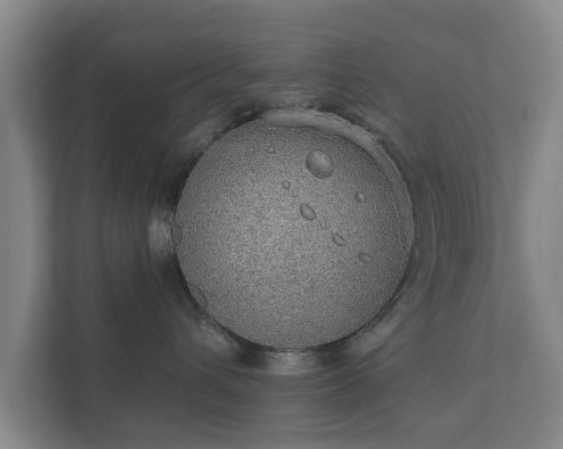 X0000112380432200908201526