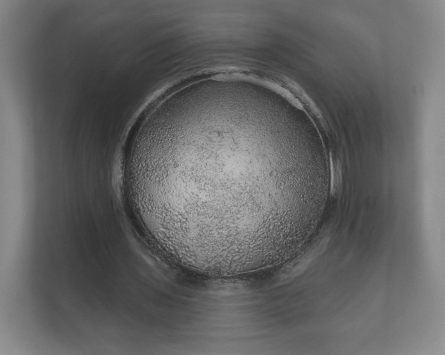 X0000112380435200908201525