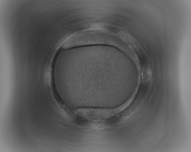 X0000112380436200908201525