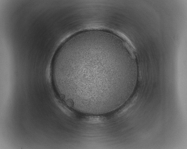 X0000112380439200908201525