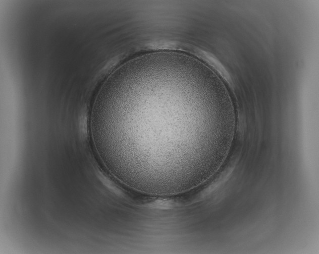 X0000112380441200908201525