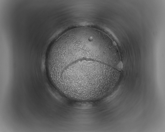 X0000112380443200908201525