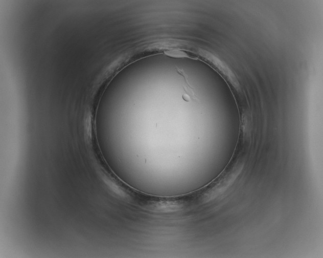 X0000112380445200908201525