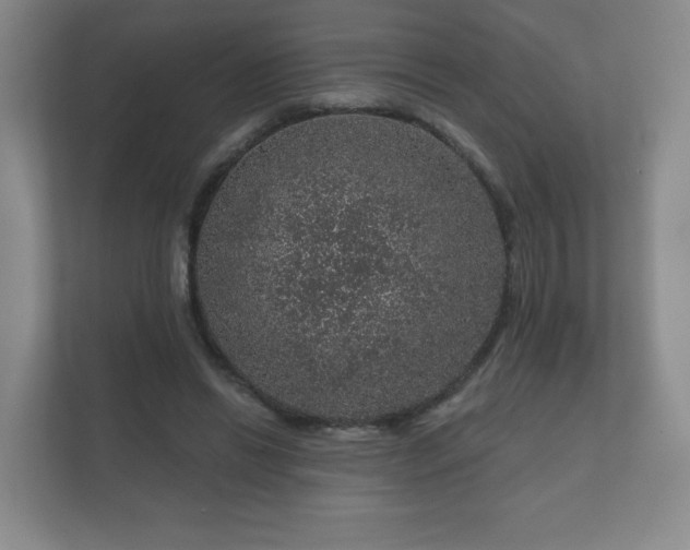 X0000112380446200908201525