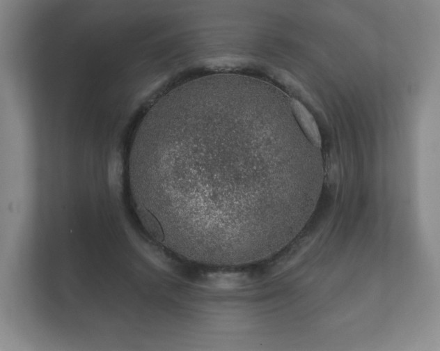 X0000112380448200908201525