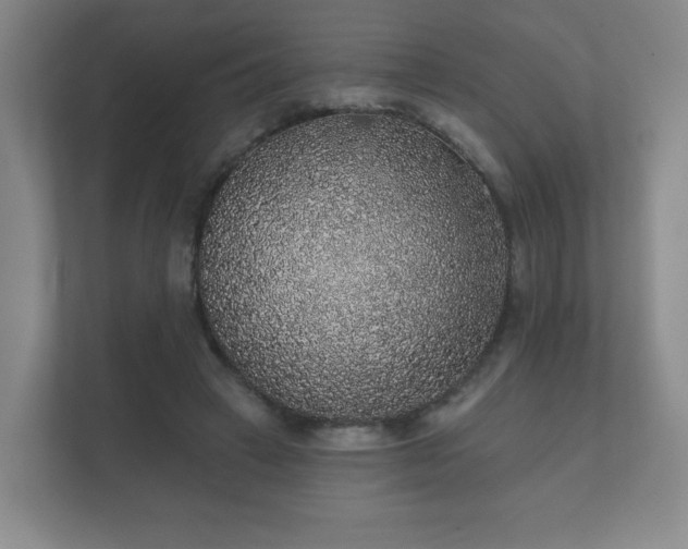 X0000112380449200908201525