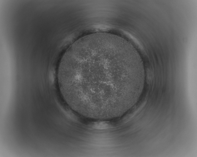 X0000112380451200908201525