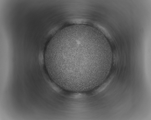 X0000112380453200908201525