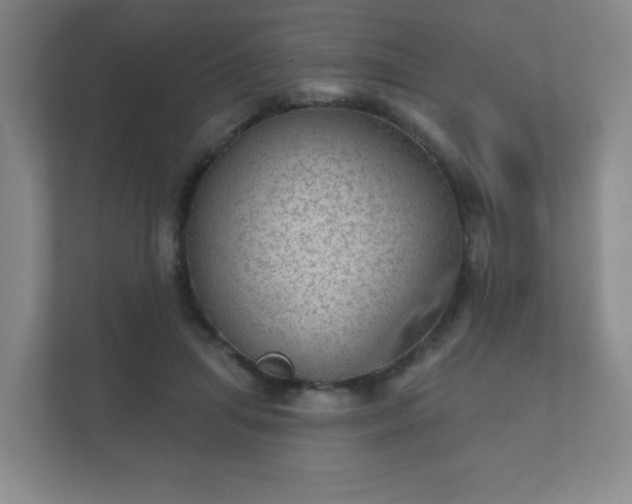 X0000112380455200908201525