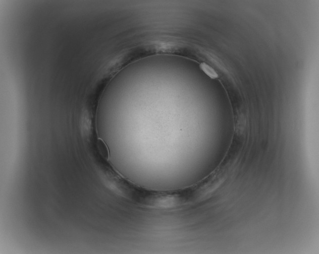 X0000112380456200908201525