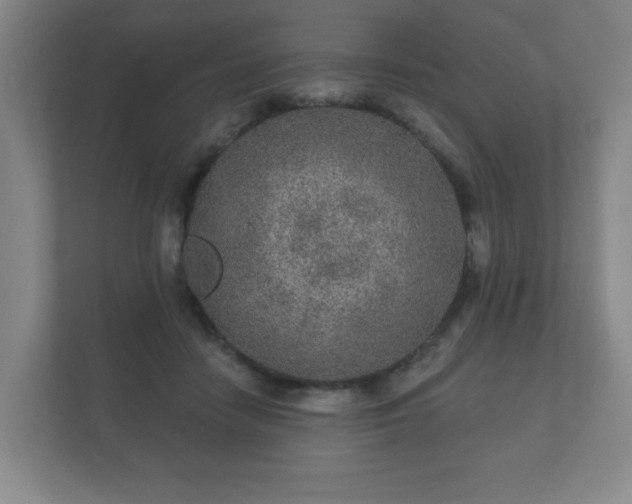 X0000112380458200908201525