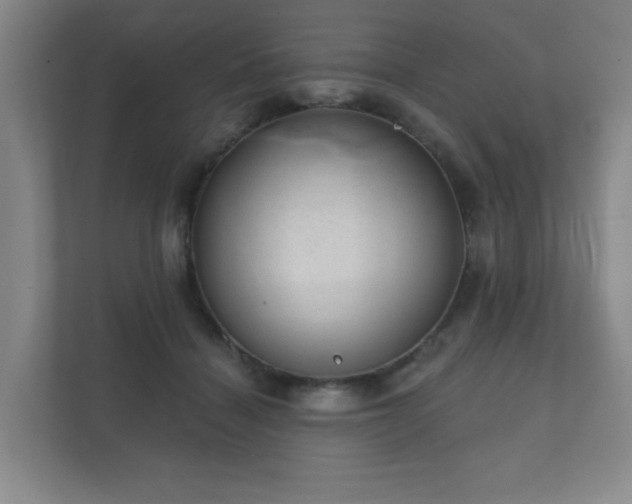 X0000112380460200908201525