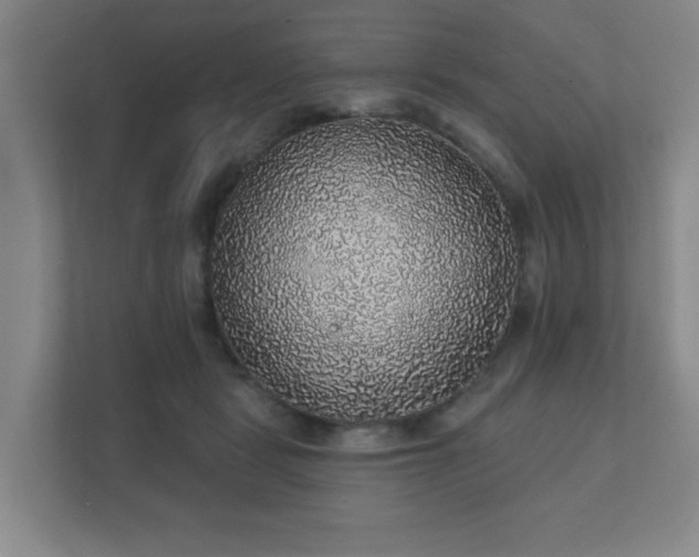 X0000112380461200908201525