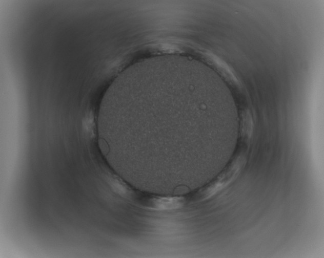 X0000112380465200908201526