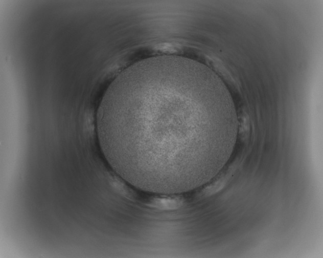 X0000112380466200908201526