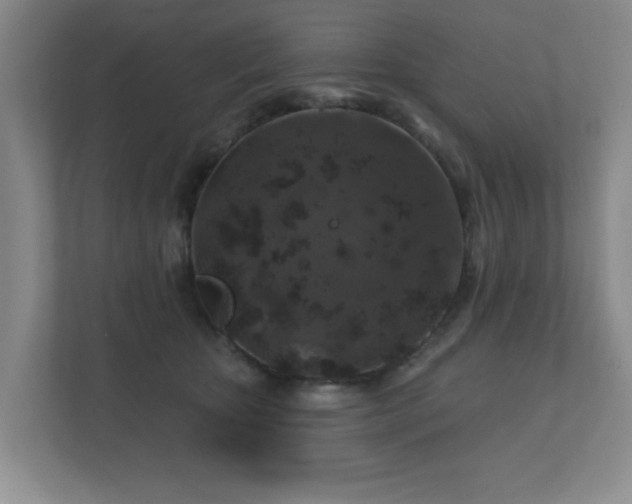 X0000112380467200908201526