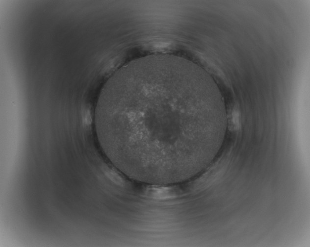 X0000112380472200908201526