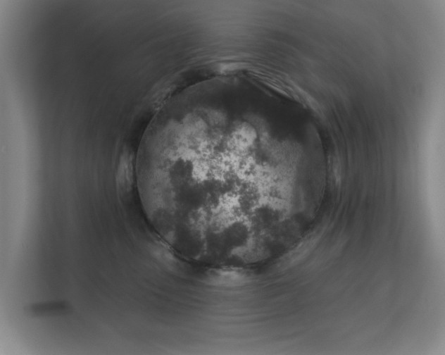 X0000112380475200908201526