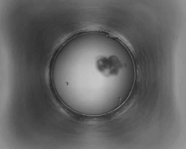 X0000112380485200908201525