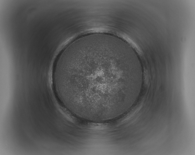 X0000112380486200908201525