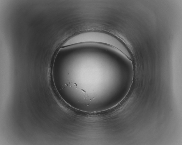 X0000112380489200908201525