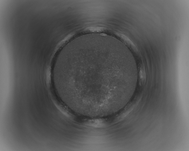 X0000112380492200908201525