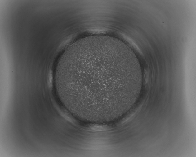 X0000112380494200908201525