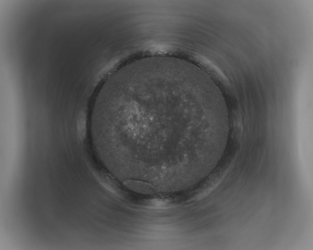 X0000112380496200908201525