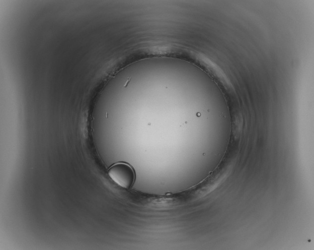 X0000112380497200908201525