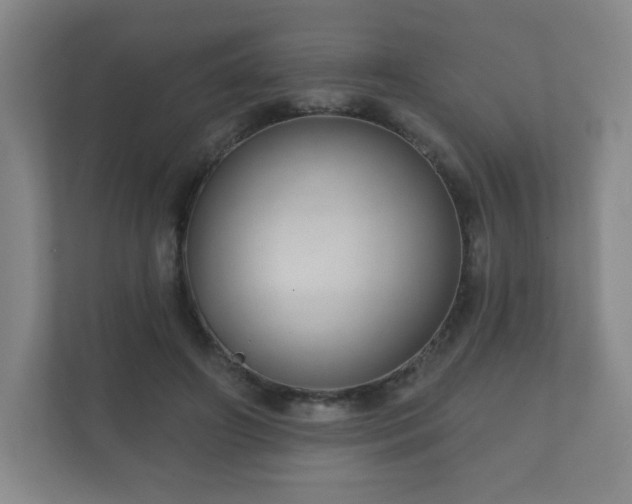 X0000112380498200908201525