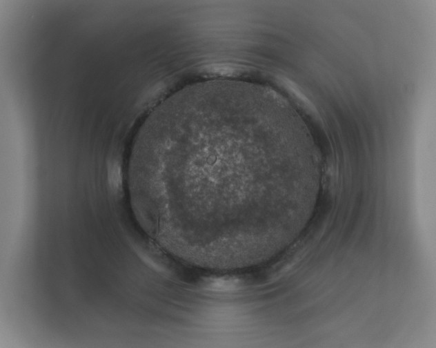 X0000112380500200908201525