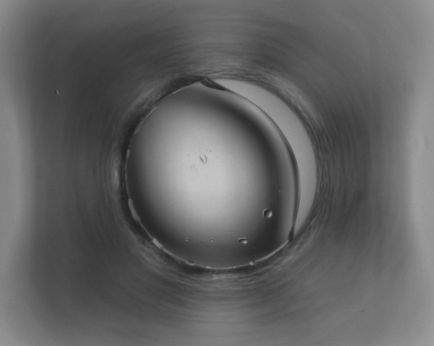 X0000112380501200908201525