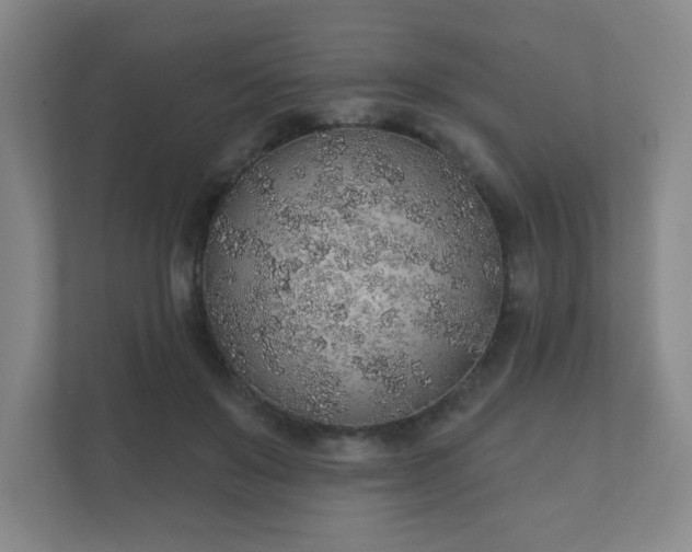 X0000112380503200908201525