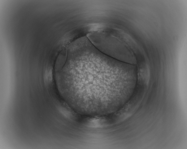 X0000112380504200908201525