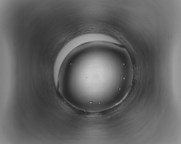 X0000112380505200908201525