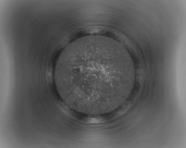 X0000112380510200908201525