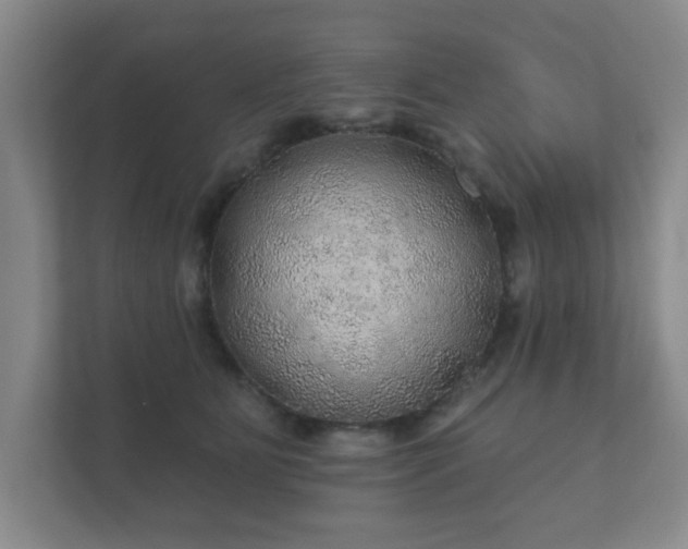 X0000112380515200908201525