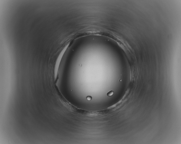 X0000112380521200908201525