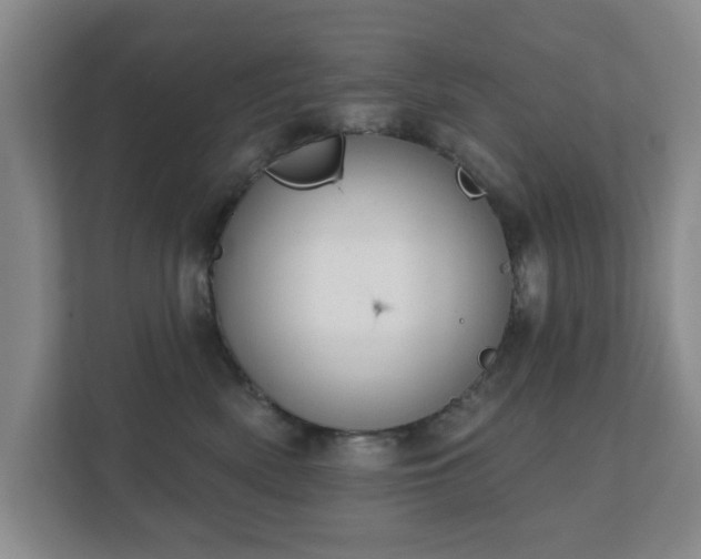 X0000112380522200908201525