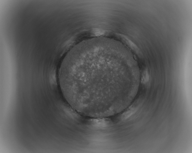 X0000112380524200908201525