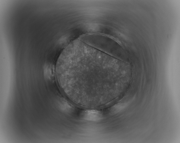 X0000112380528200908201524