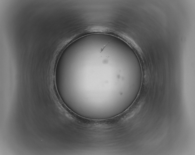 X0000112380529200908201524