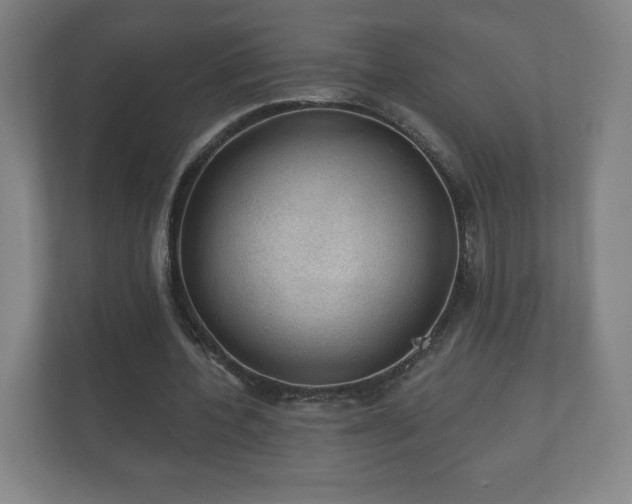 X0000112380532200908201524