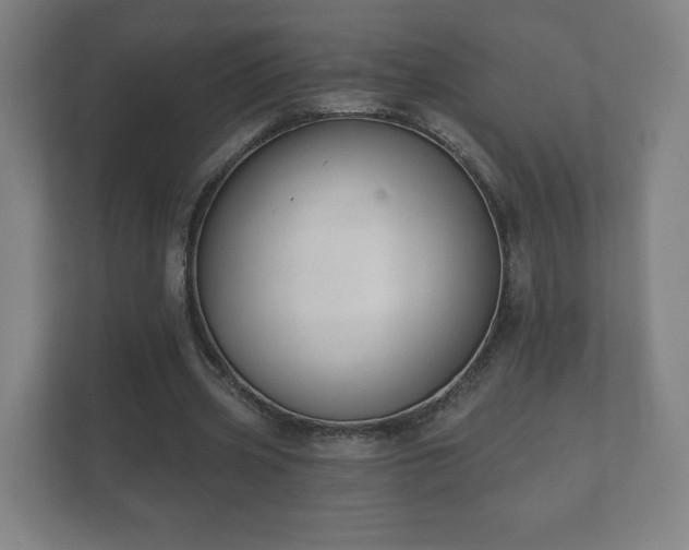 X0000112380533200908201524