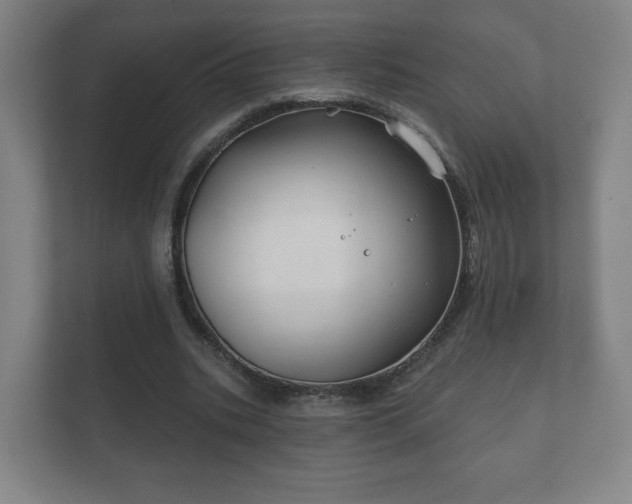 X0000112380535200908201524