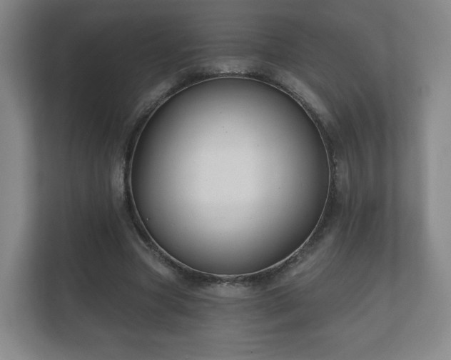 X0000112380537200908201524