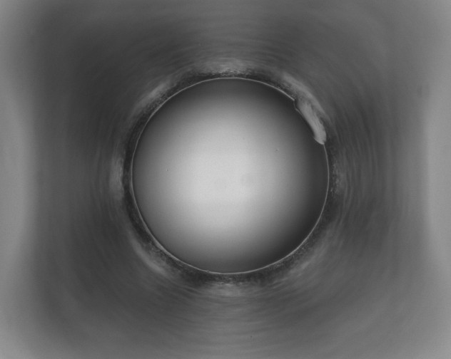 X0000112380538200908201524