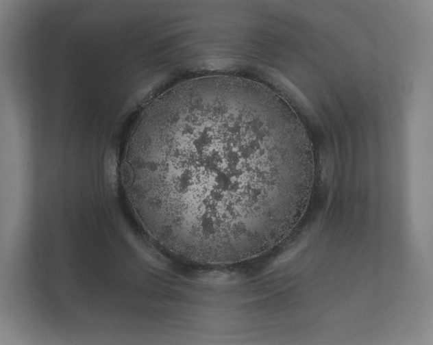 X0000112380542200908201524